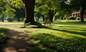 2024中国军用航空行业发展前景及未来市场趋势分析(图2)