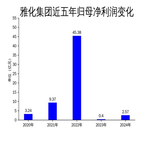 雅化集团2024年财报：净利润激增539%但营收下滑35%引发关注(图2)