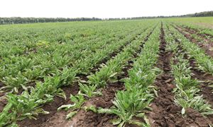 2023行业调研报告中国危险品运输行业现状分析(图4)