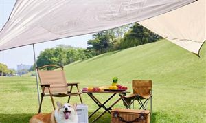 危险品运输市场也面临着一些挑战和机遇2023年中国危险品运输行业市场发展现状(图5)