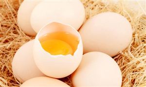 危险品运输市场也面临着一些挑战和机遇2023年中国危险品运输行业市场发展现状(图7)