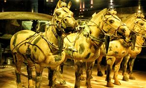 危险品运输行业发展如何市场运输需求总体平稳(图4)